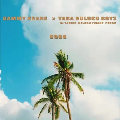 Dammy Krane – Egbe Ft. Yaba Buluku Boyz, DJ Tarico, Preck, Nelson Tivane
