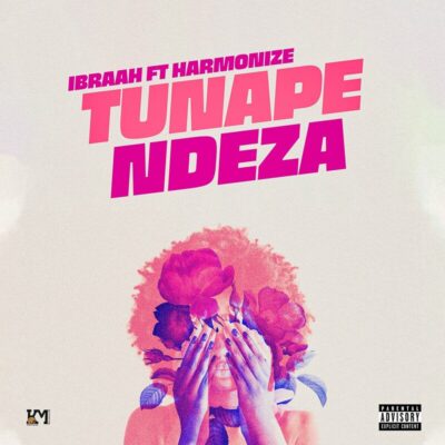 Ibraah - Tunapendeza (feat. Harmonize)