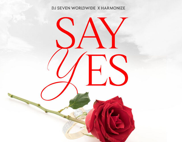 Dj Seven Worldwide - Say Yes (feat. Harmonize)