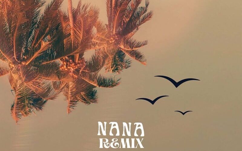 Joshua Baraka - NANA (feat. King Promise, Bien, Joeboy (Remix)