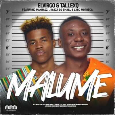 Elvirgo, TallexQ & Chicco - Malume 2.0 (feat. Makhadzi, Kabza De Small & Lxrd Mordecai)