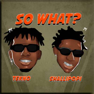 Tekno - So What_ (feat. Shallipopi)