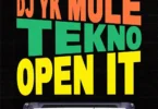 DJ Yk Mule ft. Tekno – Open It